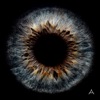 Apples of Thy Eye