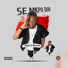 SE MKPO DOH (feat. Wazobia) Whypa