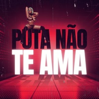 Puta Não Te Ama - Single - DJ Fael & Paulo Menino Ney