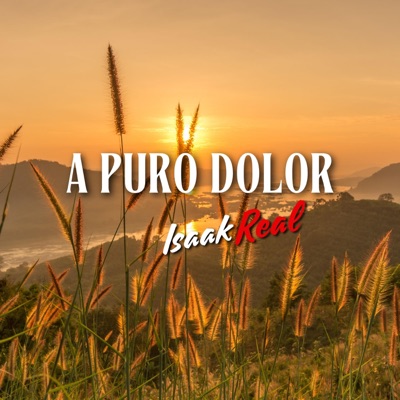 A puro dolor - Single