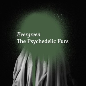 Evergreen - Single