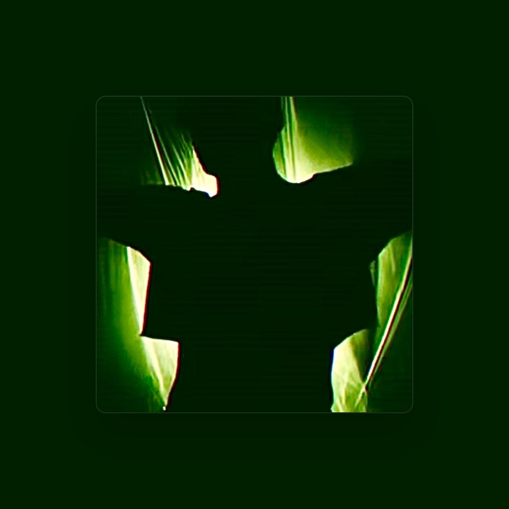 Chimer - Rock artist