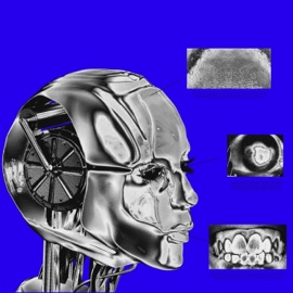 שקט יאנג קודאין