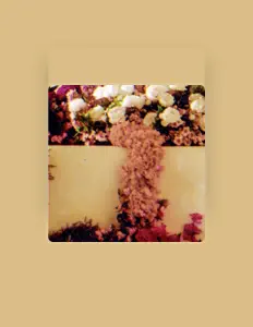 Écoutez Sugarkitty, regardez des vidéoclips, lisez la biographie, consultez les dates de tournée et plus encore !