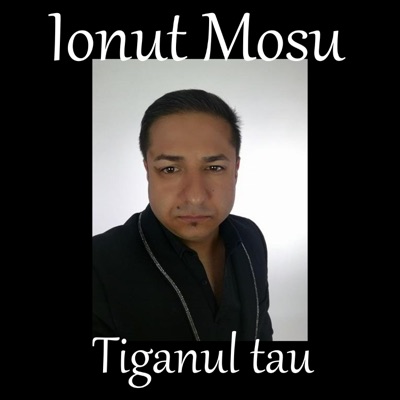 Tiganul tau - Single