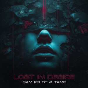 Lost in Desire - Single