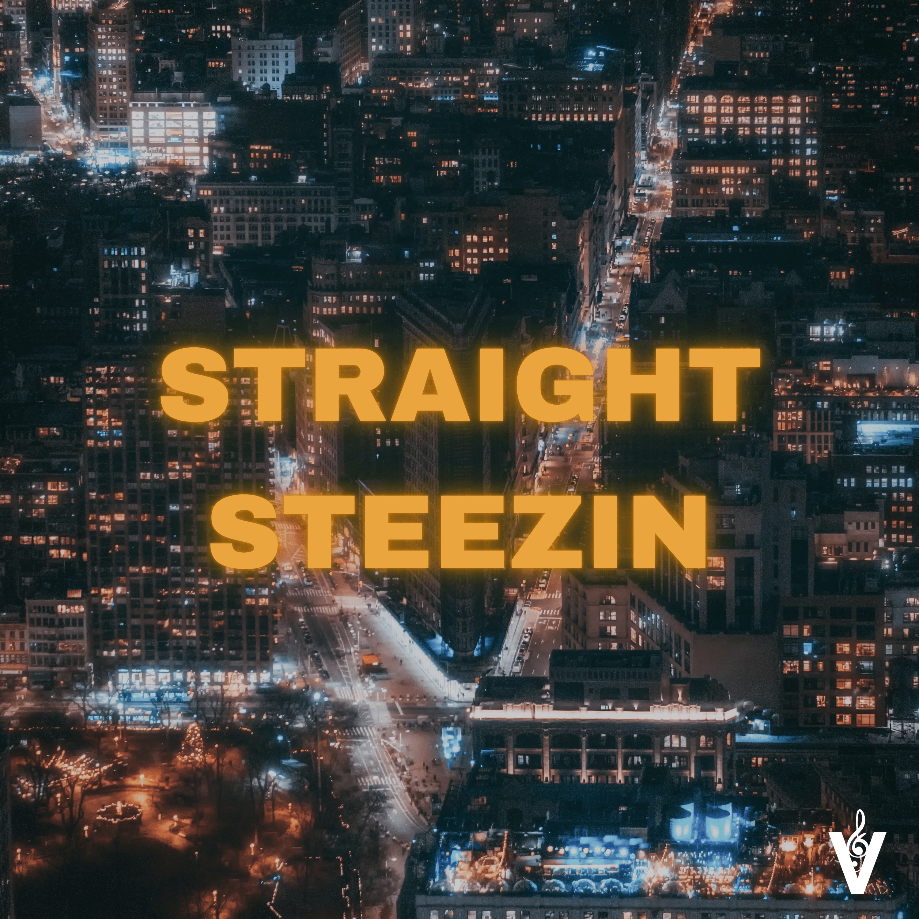 Straight Steezin - Single