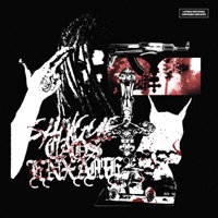 SANGUE CAOS ENXAME - Single - DVNTV$