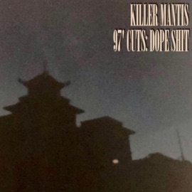 SERIOUS KILLER MANTIS