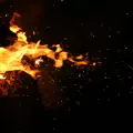 Wildfire