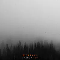 Doubt (feat. Radiofuzz) — WTRFALL