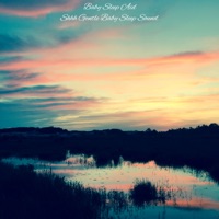 Shhh Gentle Baby Sleep Sound - Single - Baby Sleep Aid