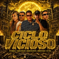 Ciclo Vicioso (feat. mc donzela) - Single - Danado do Recife, Mc Troia & Danilo Bolado