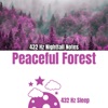 432 Hz Nightfall Notes: Peaceful Forest