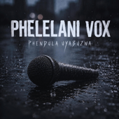 Phendula Uyabuzwa song art