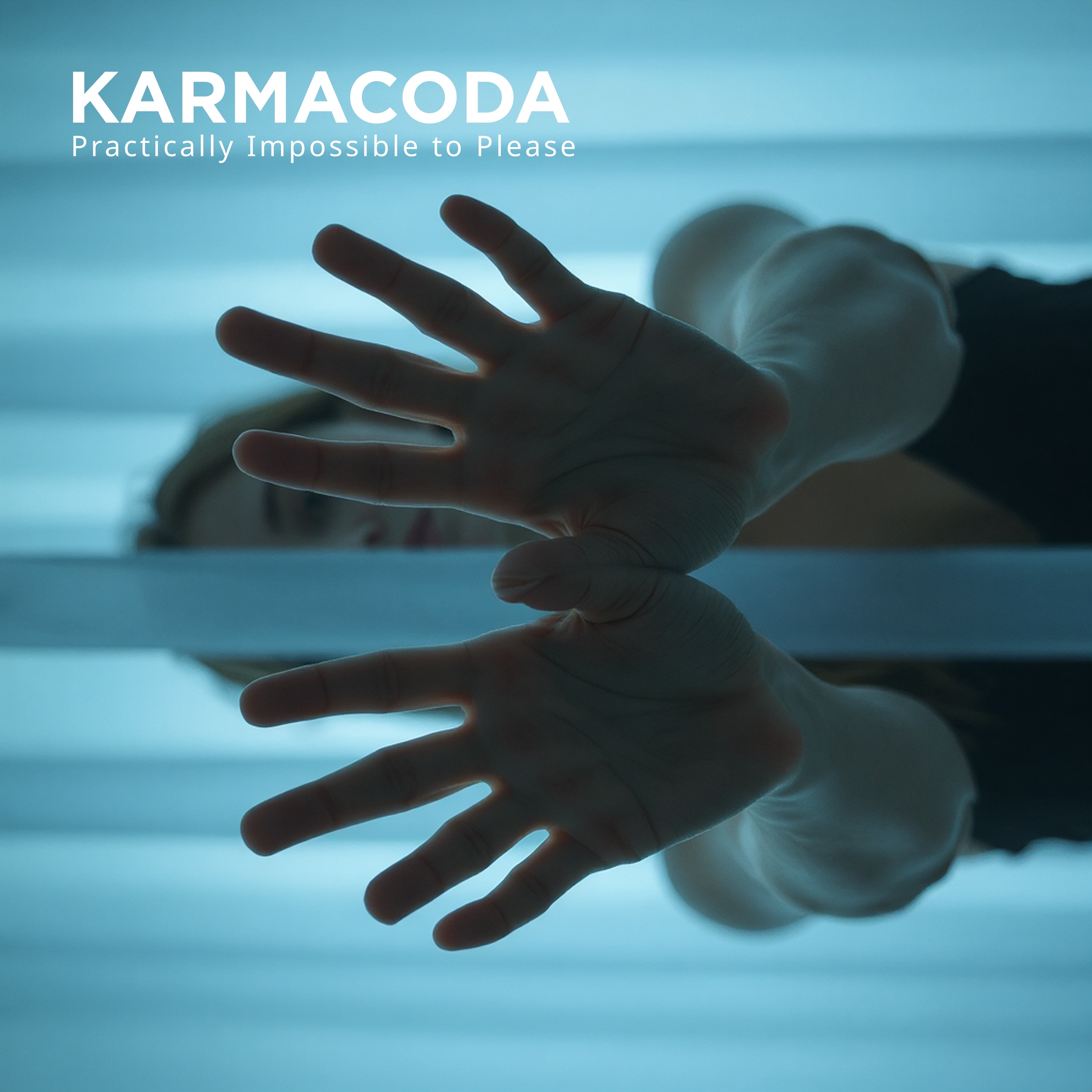 Karmacoda - Practically Impossible To Please (feat. Megan Slankard)