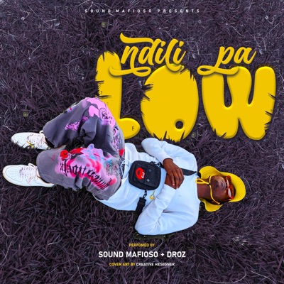 Ndili Pa Low (feat. Droz) - Single