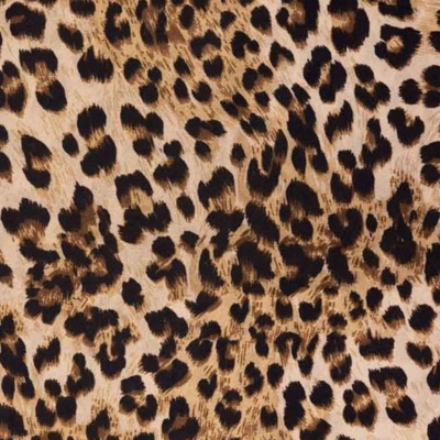 Angelica (feat. Nastynosst) - Single