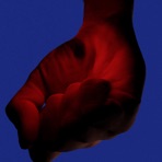 Sky Queen (Elephant Talk Remix) - Single