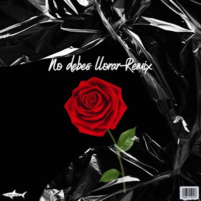 No debes llorar (feat. El path Aesy & Macis 4E) [Remix] - Single