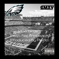 GO BIRDS (feat. Naj Ahngeaux) - Single - Picclo