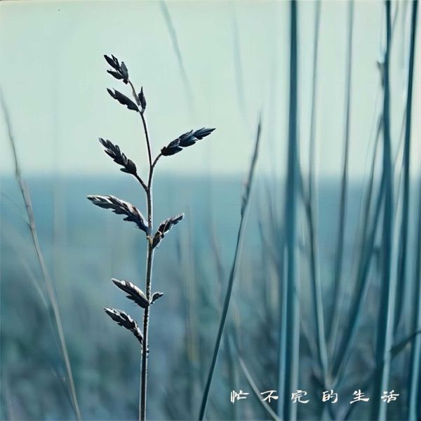 忙不完的生活 - Single