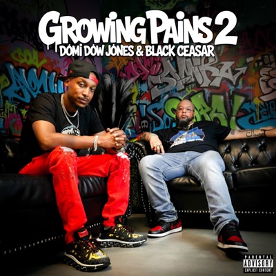 Growing Pains 2