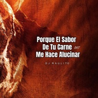 Porque el Sabor de Tu Carne Me Hace Alucinar Rkt - Single - Dj Raulito