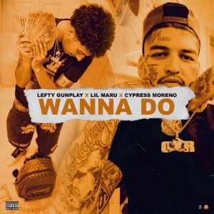 Wanna Do - Single