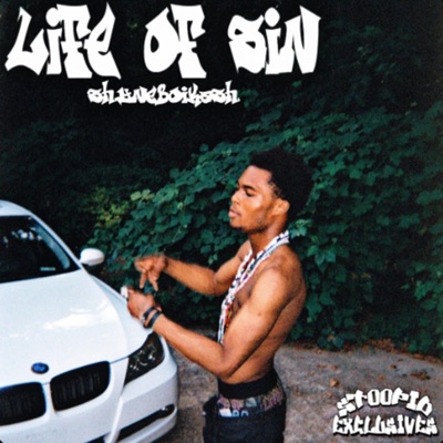 Life of Sin (feat. shyneboikash)