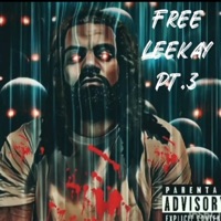 Free Leekay, Pt. 3 - Single - Sgrleekay