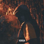 Figlio Del Silenzio - Single
