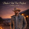 Didn't Ask For Perfect - Single