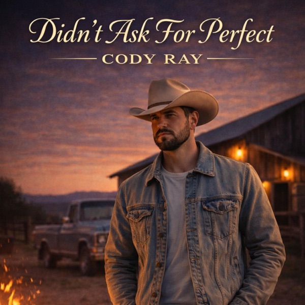 Didn't Ask For Perfect - Single