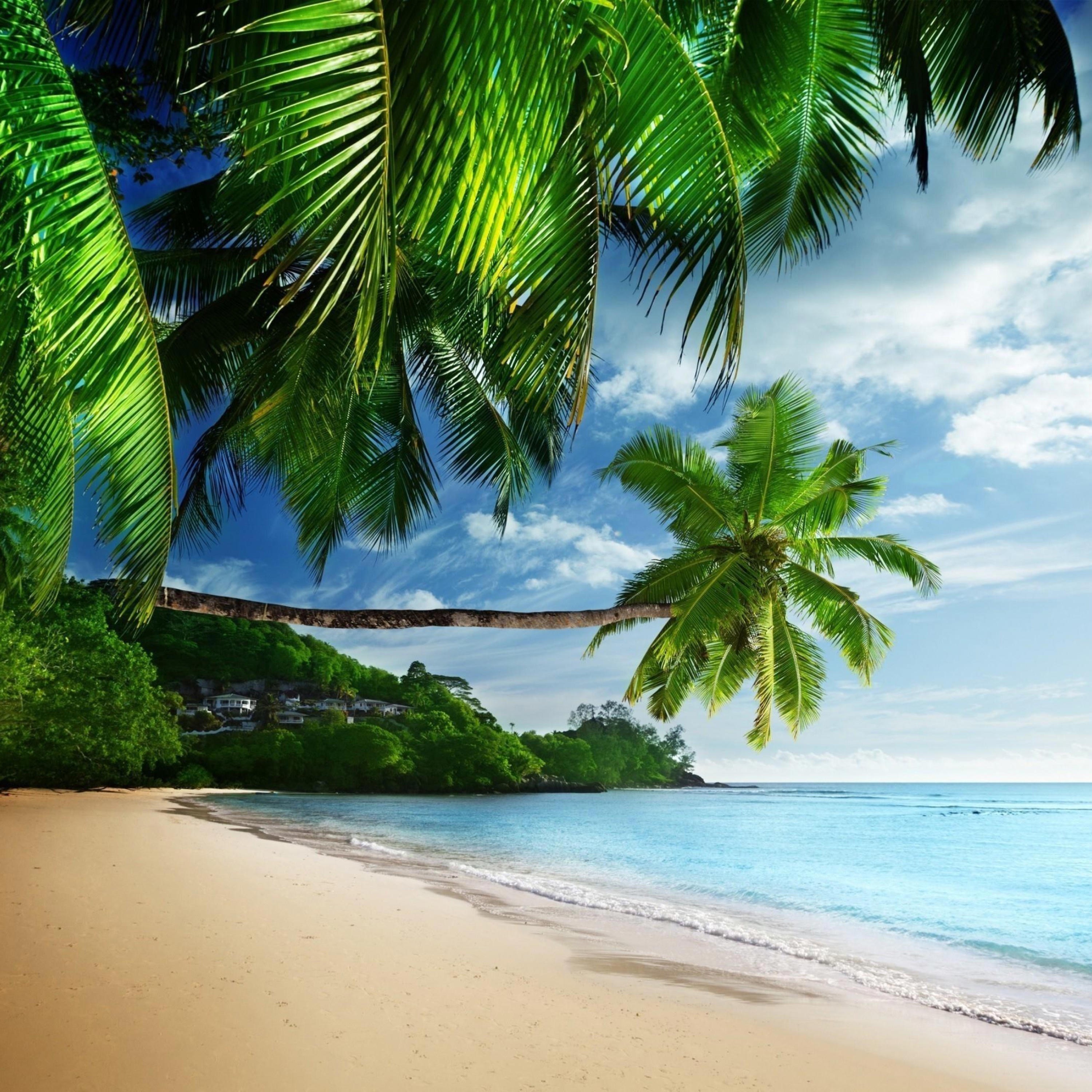 Darte Mi Amor - Single