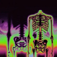 Night Terrors - Single - Local Loner