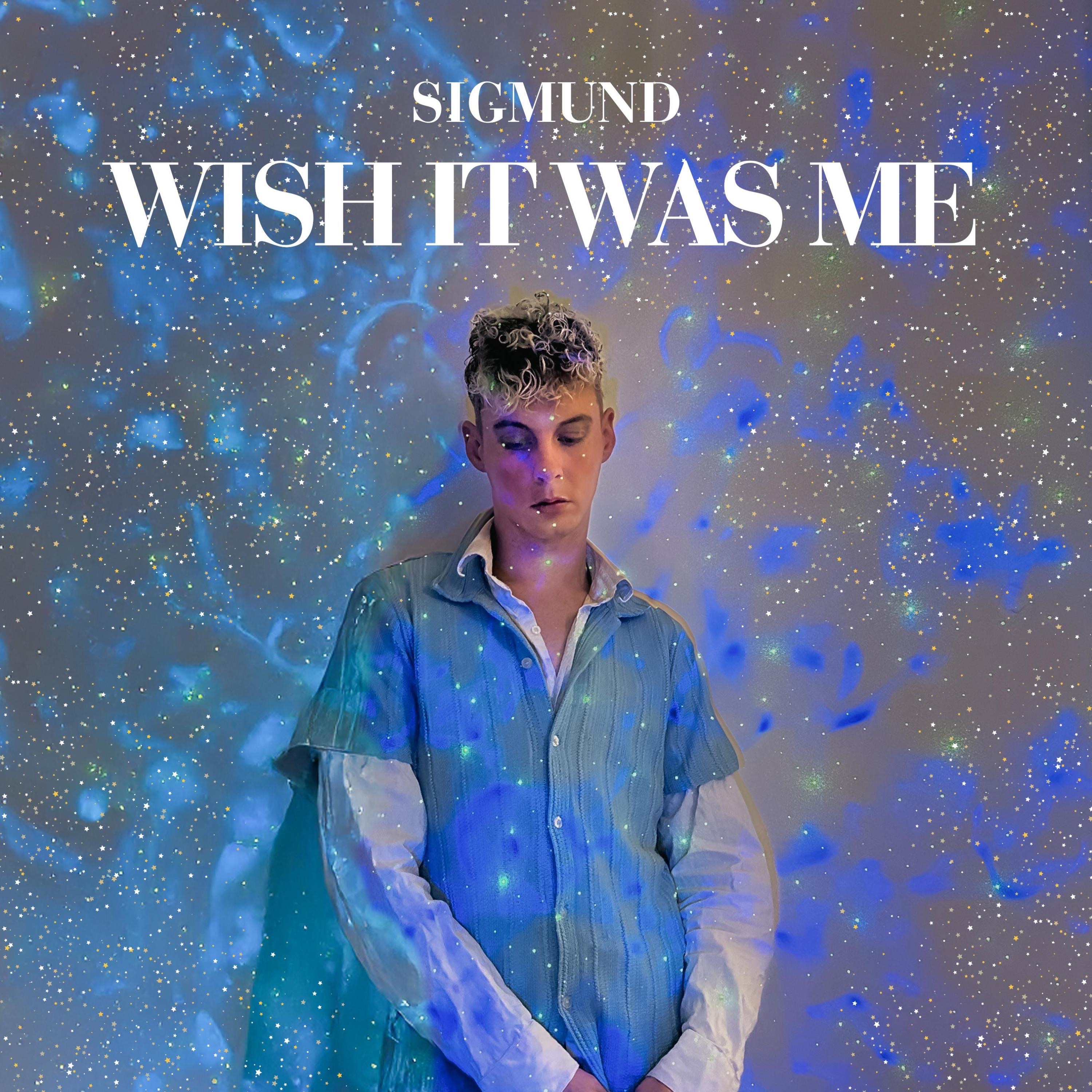 Wish It Was Me - Single