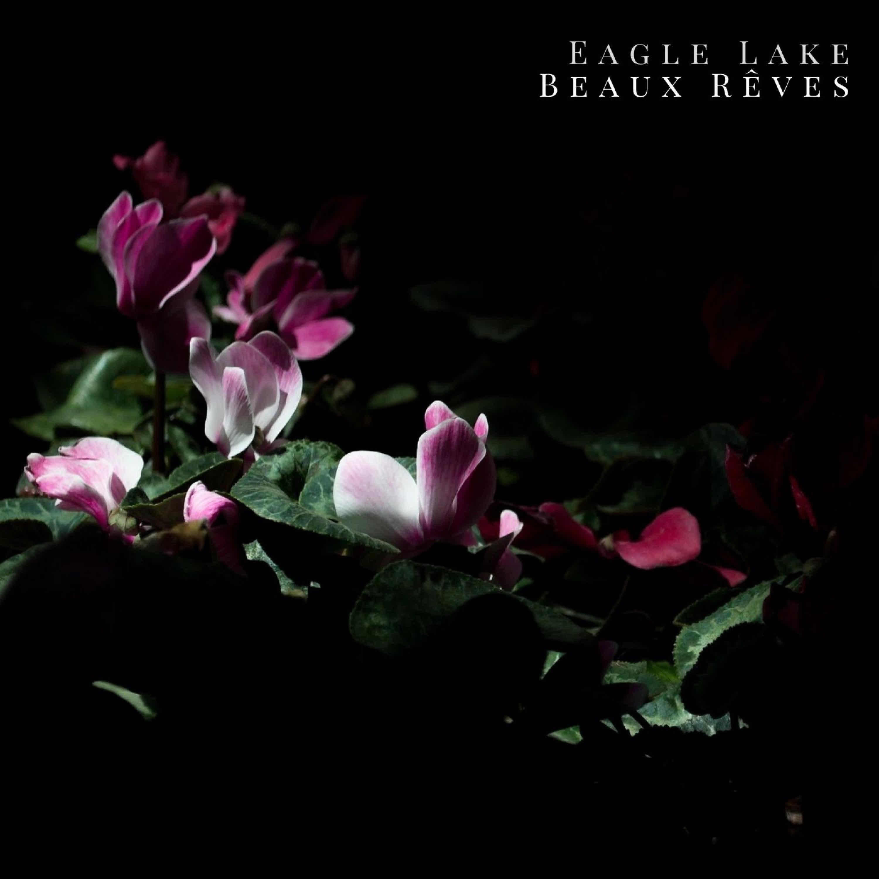 Beaux rêves - Single