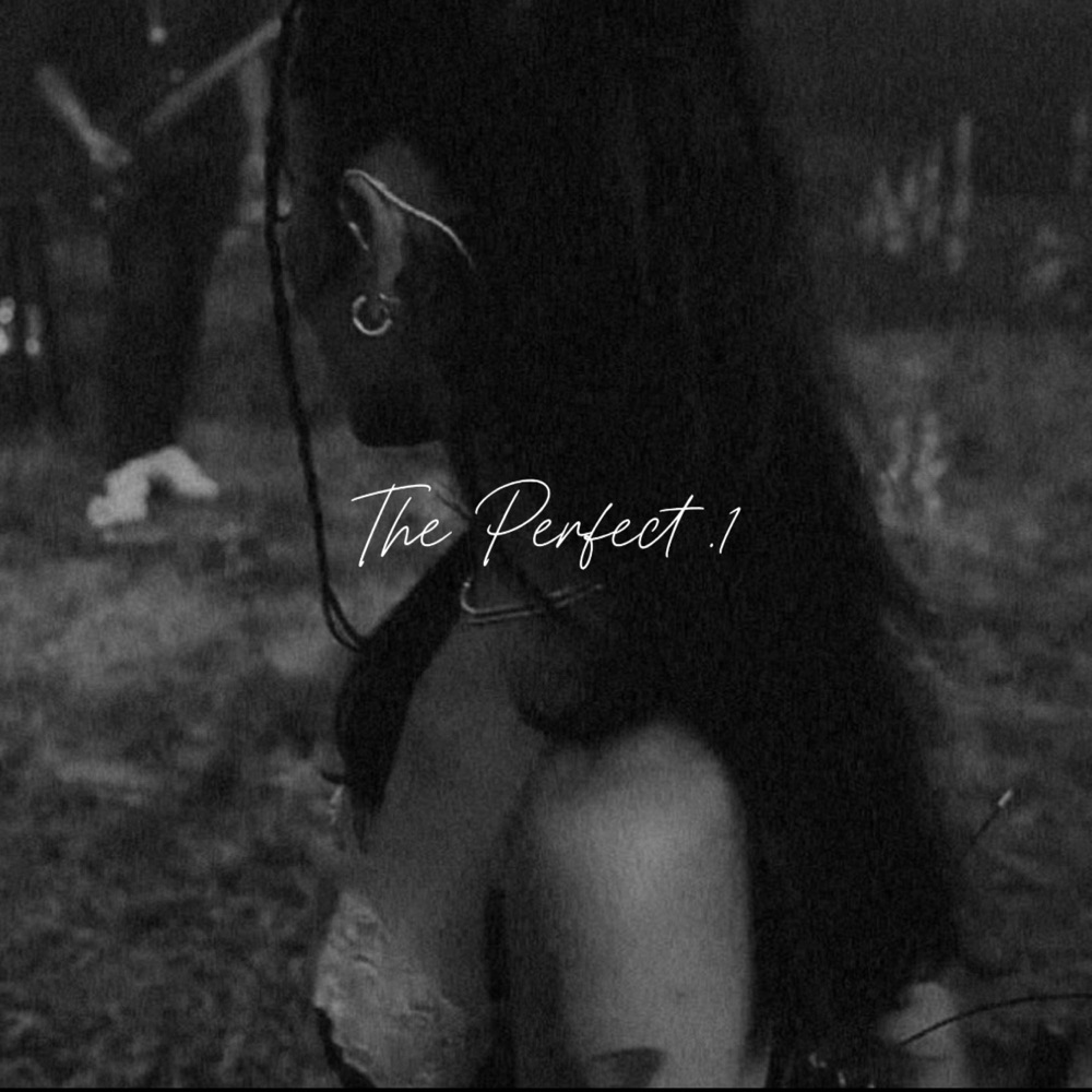 Обложка альбома «The Perfect .1 - Single» — ShyTwist