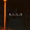 W1ld - NBtoorixh lyrics