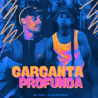 GARGANTA PROFUNDA - Single - DJ Negritinho & MC Igão