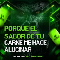 PORQUE EL SABOR DE TU CARNE ME HACE ALUCINAR - Single - Dj Bryan El Famosito