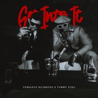 Get Into It (feat. Tommy Zuko) - Single - Terrance Richmond