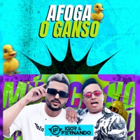 Afoga o Ganso - Single - Igor e Fernando