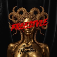 Freestyle - Single - Soneto Hamilton