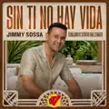 Sin ti no hay vida