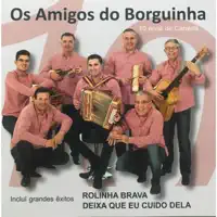 Coração Apaixonado — Os Amigos do Borguinha