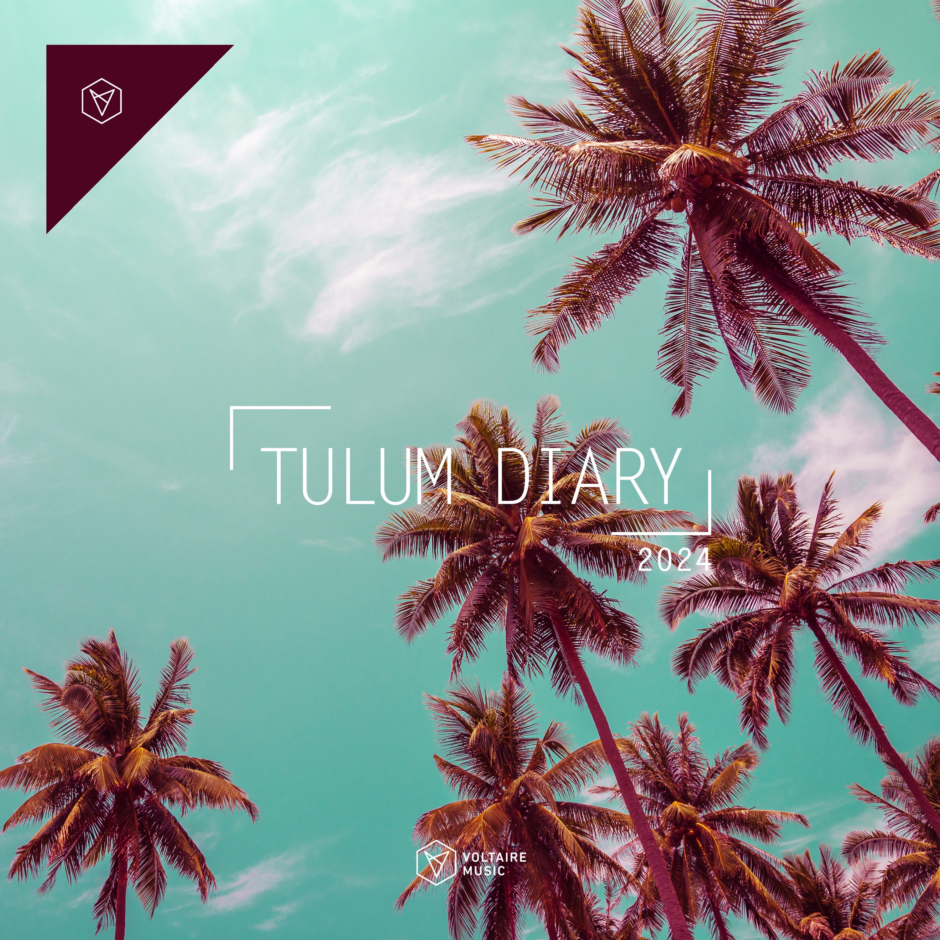 Voltaire Music Pres. The Tulum Diary 2024