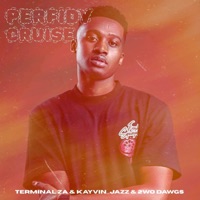 Perfidy Cruise - Single - Terminal ZA, Kayvin_Jazz & 2wo Dawgs