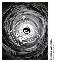 Sonic Infusion - Single - Push & Wehbba